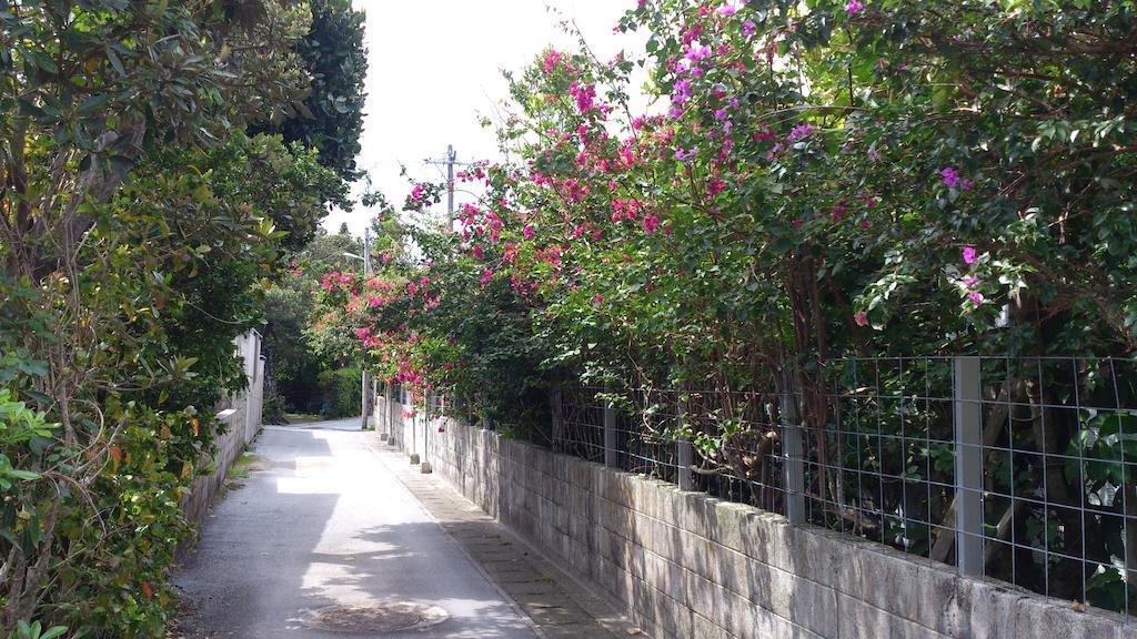 座间味 Patio House Reef酒店 外观 照片